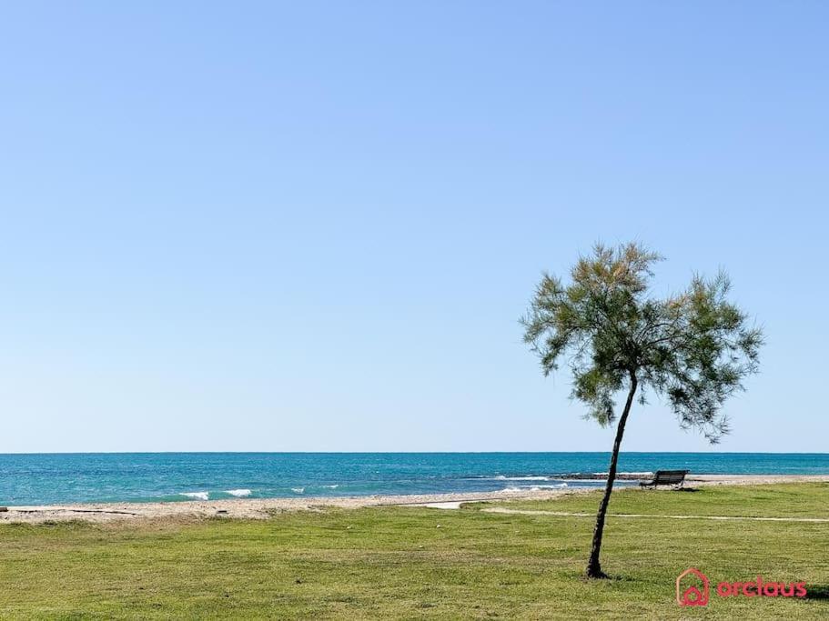 El Jardin Apartamento Oropesa del Mar Exterior foto